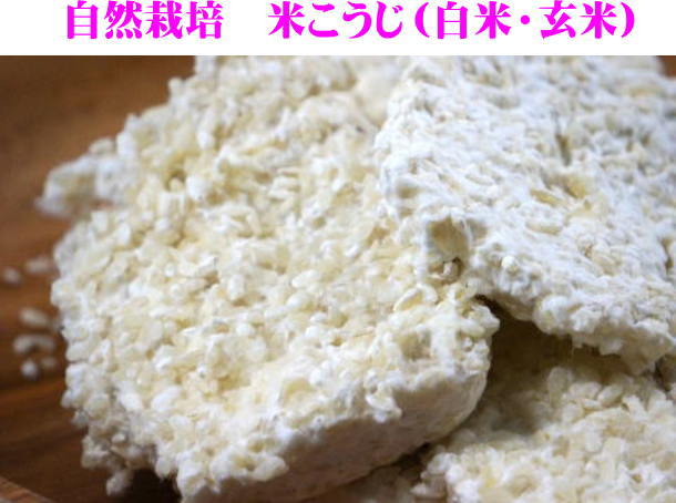 米こうじ、塩麹販売【無農薬よしま農園】