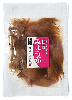 みょうが漬け 茗荷